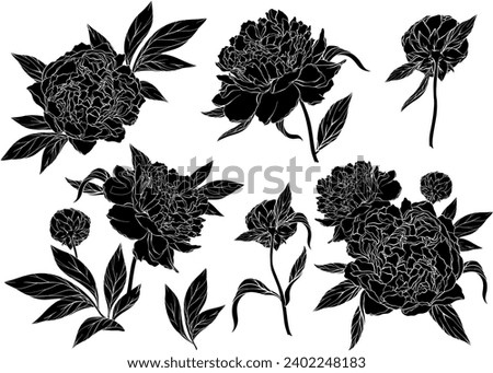 Floral set with peonies and leaves. Silhouette