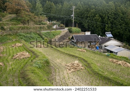 Rice paddies in the middle of the mountains of Wakayama prefecture in Japan. Royalty-Free Stock Photo #2402251533