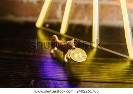 Toy Dog holding a Gold Coin on Brown Wooden Floor
