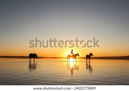 Magnificent show of cowboys on the water in the salt lake in Turkey