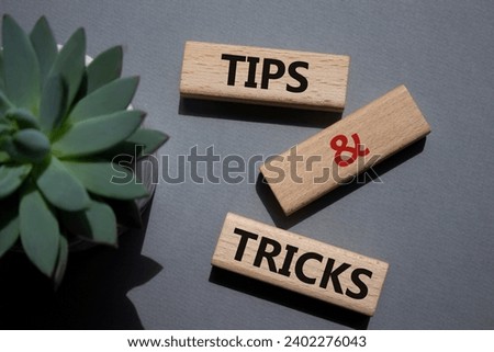 Tips and tricks symbol. Wooden blocks with words Tips and tricks. Beautiful grey background with succulent plant. Business concept and Tips and tricks. Copy space.