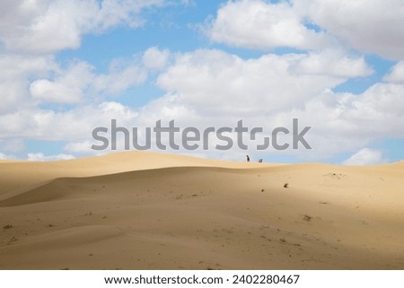 Tuyesu dunes landscape, Senek, Mangystau region, Kazakhstan. Desert landscape Royalty-Free Stock Photo #2402280467