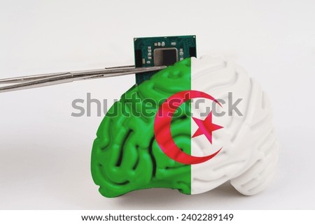 On a white background, a model of the brain with a picture of a flag - Algeria, a microcircuit, a processor, is implanted into it. Close-up