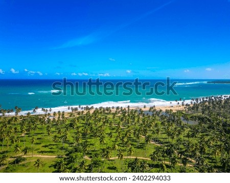 Aerial view of the turquoise Caribbean sea shore with coconut palm trees on the wild beach. The most beautiful places on the planet Earth