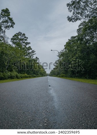 The road in the middle of the green forest, blurred background. Tranquilty and rarely used by vehicles. Selective focus