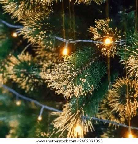 The picture you sent shows an evergreen tree decorated with small burning lights, giving it a warm and festive atmosphere.