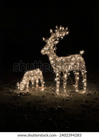 A Picture of two deer made of Christmas lights