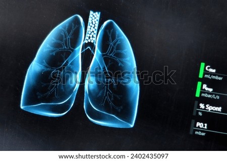  Close-up view of diagnosis imaging of human lungs                                  
