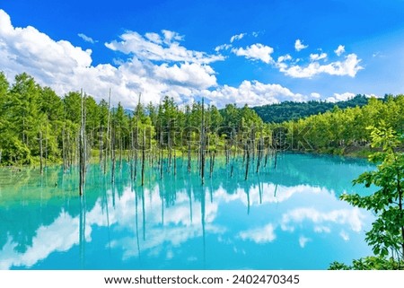 Blue Pond in Shirokane, Biei-cho, Hokkaido (summer season) Royalty-Free Stock Photo #2402470345
