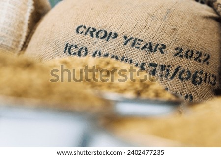 jute bags of imported ethiopian coffee, green beans, roastery facility Royalty-Free Stock Photo #2402477235