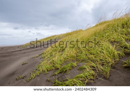 The Beach at Fort Stevens State Park in Oregon, USA Royalty-Free Stock Photo #2402484309