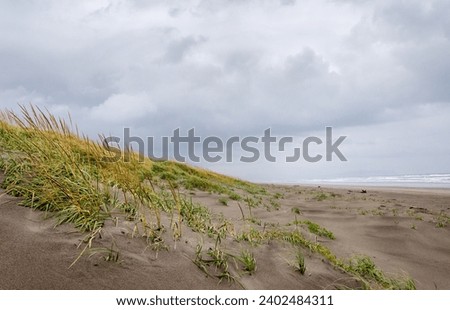 The Beach at Fort Stevens State Park in Oregon, USA Royalty-Free Stock Photo #2402484311
