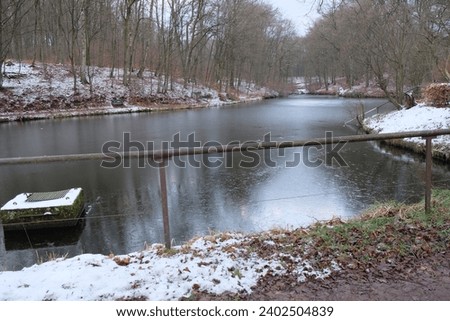 in winter forest is a frozen lake
