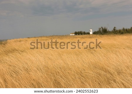 Remains of untilled mat grass steppes (virgin land), fruiting stipa on South Bug estuary coast. Ancient coastal lighthouse on sea cliff. Northern Black Sea Region. Picture gives mood of true steppe