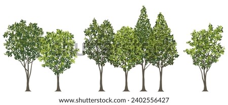 Roadside Trees Vector Illustration Isolated On A White Background.  Royalty-Free Stock Photo #2402556427