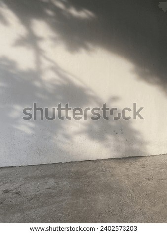Aesthetic Picture Shadows Of Tree Calming