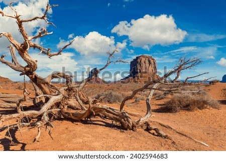 Vast desert terrain with a dead tree at the forefront, Monument Valley Royalty-Free Stock Photo #2402594683