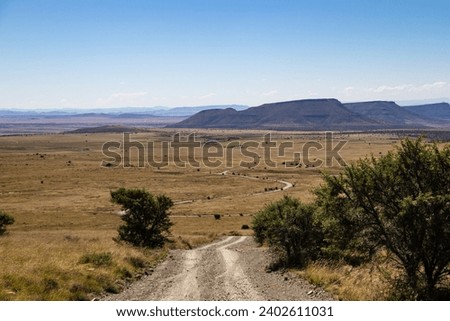 Game drive in Mountain Zebra National Park, Cradock, South Africa Royalty-Free Stock Photo #2402611031