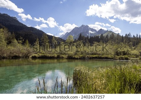 Zelenci Lake near Kranjska Gora in Slovenia Royalty-Free Stock Photo #2402637257