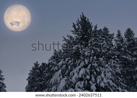 A unique winter landscape of a snow-covered forest against the backdrop of the moon. Full moon in the forest.