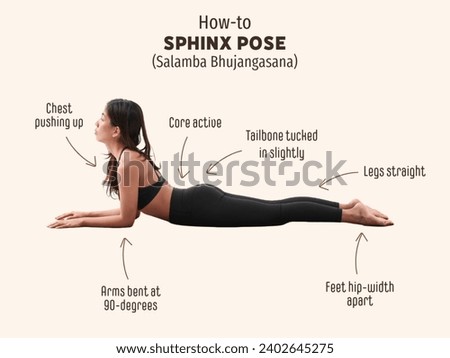 Sphinx Pose is a gentle backbend suitable for most beginners. It lengthens the abdominal muscles, strengthens the spine, and firms the buttocks.