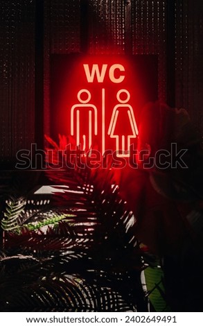 An illuminated neon sign for WC in a dark room.