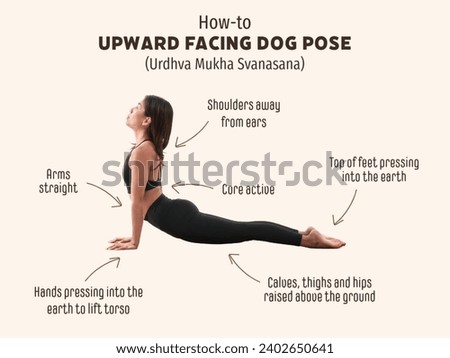 Upward-facing dog is a back-bending yoga posture that offers a deep back stretch while stimulating the core.