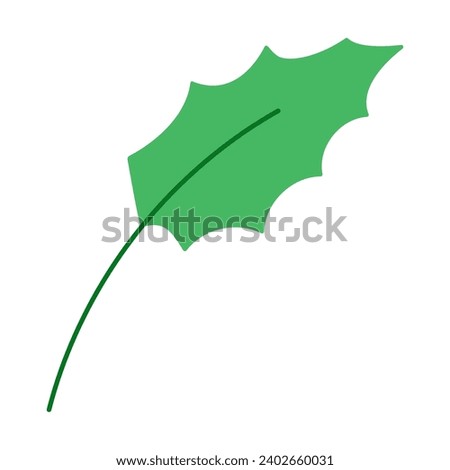 Vector flat illustration with Christmas green holly  leaf