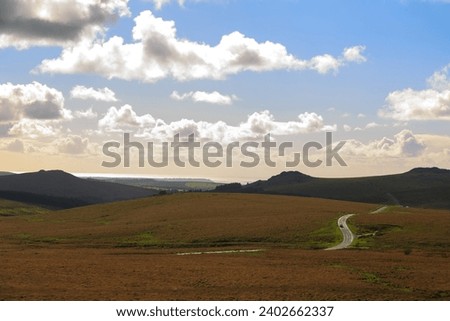 Dartmoor National Park in summer landscape