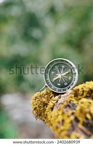 close up compass on green moss, nature wallpaper background, travel and relaxation, planning and manage to success business concept