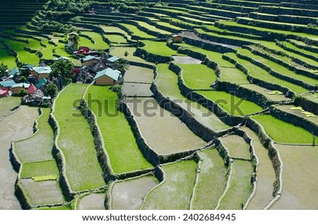 Cordillera Trekking Banaue Green Rice Terrace Monument Landscape Royalty-Free Stock Photo #2402684945