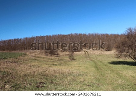 A grassy field with trees in the background