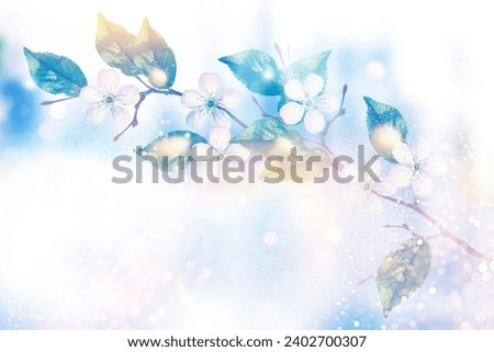 Natural floral background. nature. Blossoming branch cherry. Bright colorful spring flowers