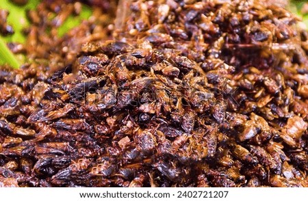 Exotic Asian food. Thai ancient cuisine. Fried insect, beetles imago Royalty-Free Stock Photo #2402721207
