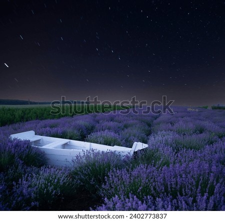 Stunning night landscape with Milky Way Galaxy above a beautiful blooming lavender field, Bulgaria. High quality photo