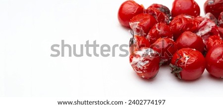 Front view. Red rotten cherry tomato with mold, isolated on white background. Concept of healthy food, trash, garbage, spoiled product, autumn, fall, poor, diet. Copy space for text. Horizontal banner Royalty-Free Stock Photo #2402774197