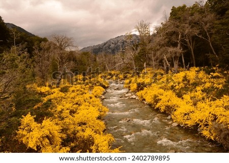 Landscape of the Bonito River in Villa La Angostura. patagonia landscape