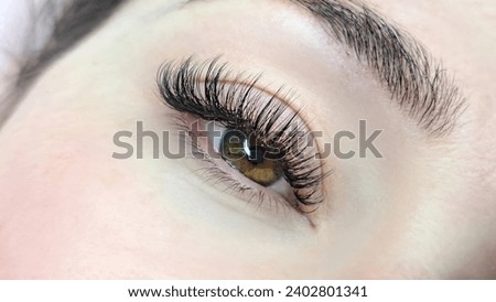 Close up of eye with eyelash extensions ,beauty salon treatment ,2d volume, 3d volume, classical lashes,Russian volume,megavolume, new set. Royalty-Free Stock Photo #2402801341