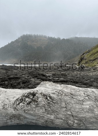 Up close picture of driftwood with beautiful foggy, misty mountains in the background 