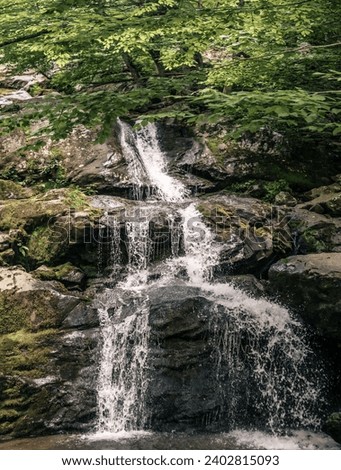 Panorama view of small waterfall situated in nature Royalty-Free Stock Photo #2402815093