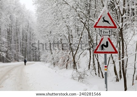 Winter Driving - Caution - Mountain road with snowfall and traffic sign 