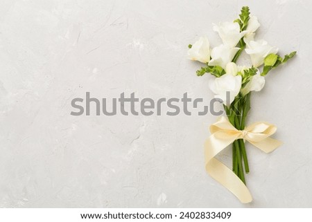 White fresia flower on concrete background, top view