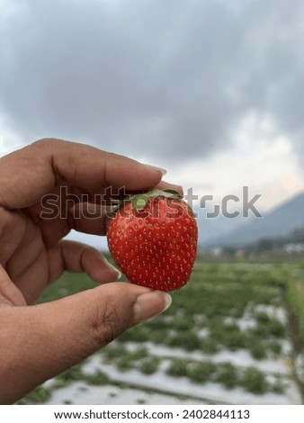 The perfect shape of a strawberry against a cloudy sky