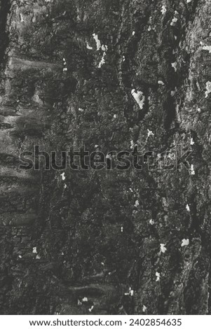A background photo of a wall with cracked and peeling texture.Rough texture of an old wall.A photo of a faded wall.An unmaintained wall,Abstract wall background.