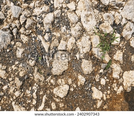 Background with floor wall texture
                              