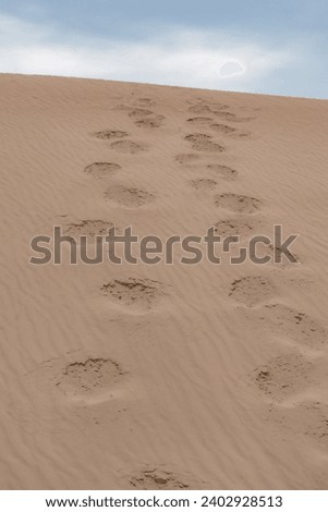 A solitary human footprint on the sandy dunes of the Central Desert of Iran.
This photo captures a solitary human footprint on the sandy dunes of the Central Desert of Iran. 