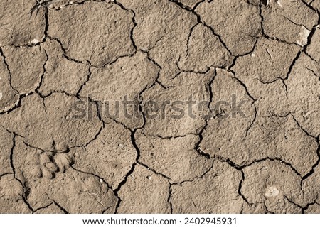 Barren Beauty: Ground Texture with Intricate Cracks Royalty-Free Stock Photo #2402945931