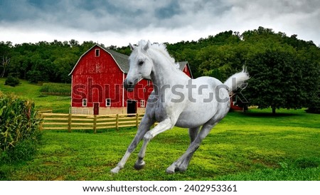 A magnificent white horse gallops freely across a lush green field, its mane and tail flowing in the wind. A classic red barn stands in the distance, adding a touch of rustic charm to the scene.