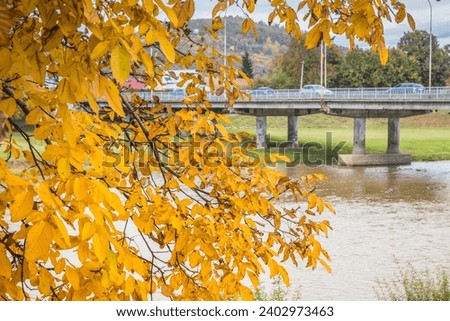 Embankment of an autumn park on a cloudy day. Yellow leaves on the trees and near the river. Low gray clouds in the sky.The beginning of autumn in the park. Cloudy day.