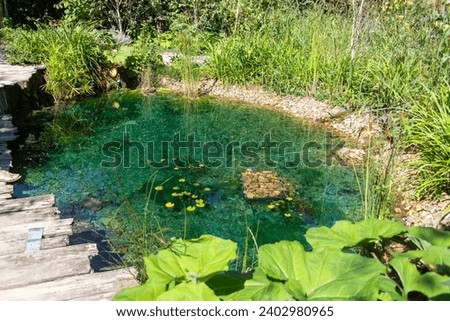 Ecosystem and wetland - creation of a pond surrounded by plants in a natural garden Royalty-Free Stock Photo #2402980965